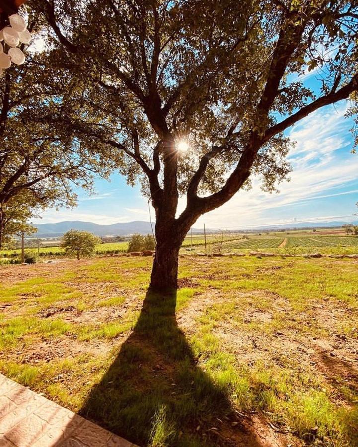 When In Maremma Apartment Alberese Luaran gambar