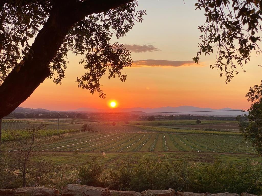 When In Maremma Apartment Alberese Luaran gambar